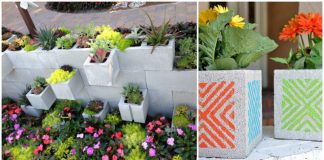 Cinder block gardening on a budget