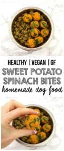 This vegan dog food recipe is one your dog will surely LOVE!