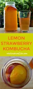 This lemon strawberry kombucha tea recipe sounds amazing for spring and summer months! I can't wait to try it out!