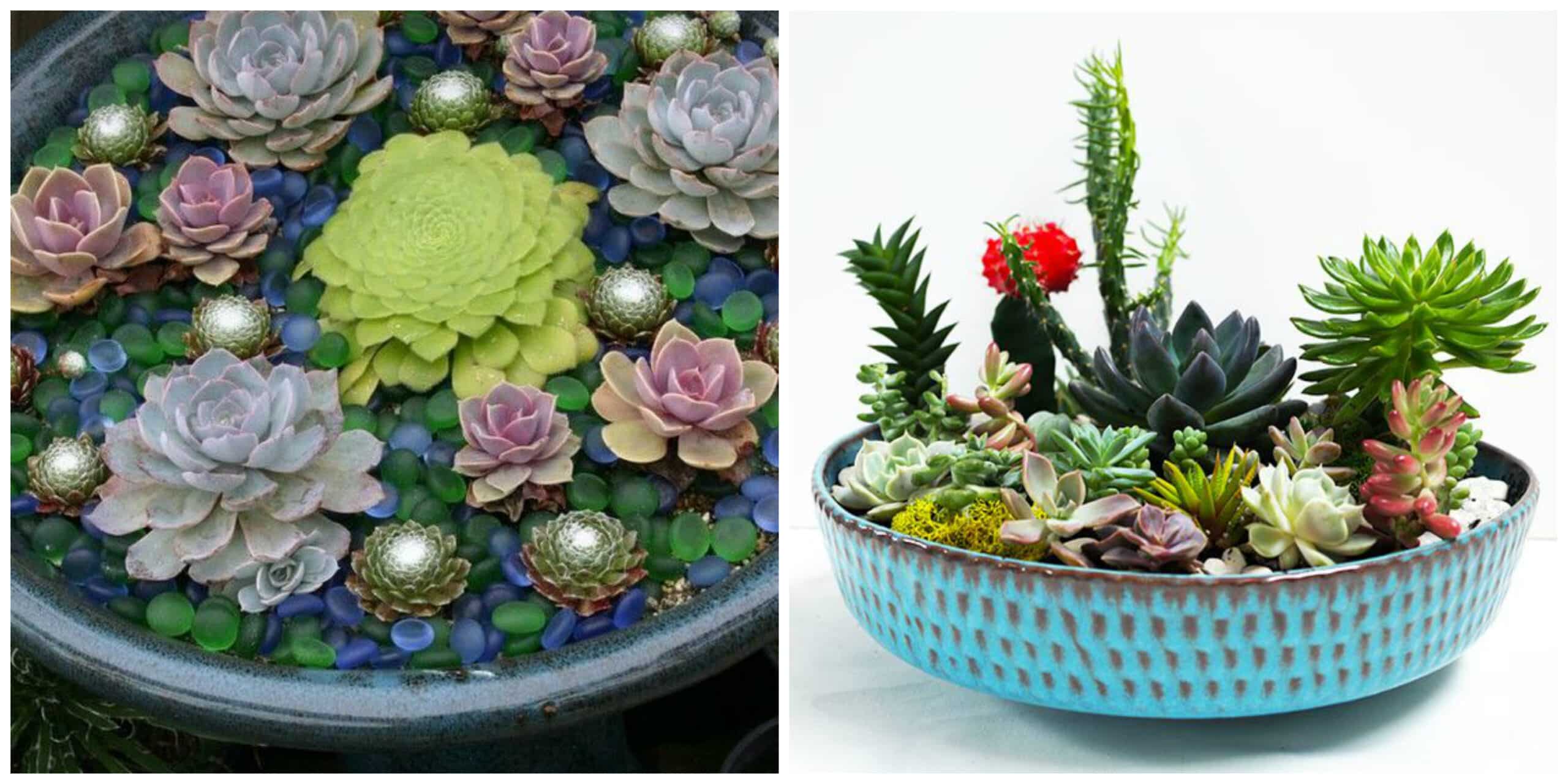 These 19 succulent displays are AMAZING! They are so creative and easy to do!