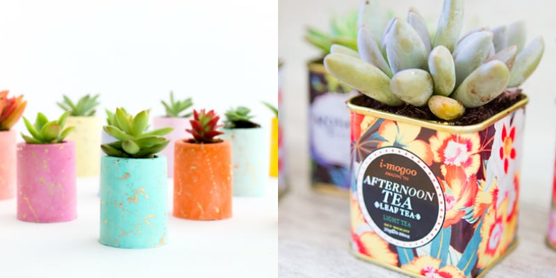 These 11 container gardens are the CUTEST! I love the variety between indoor and outdoor designs. Can't wait to get started DIYing!