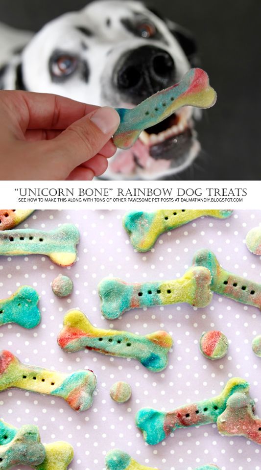 These 18 Dog Treats Will Have Your Fur Baby Going NUTS! Not only are they easy to make, you know EXACTLY what is going into your dog's mouth. 