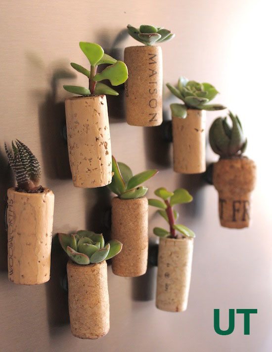 You only need one material to make this awesome planter for succulents!