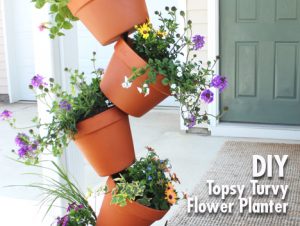 Topsy Turvy Planter