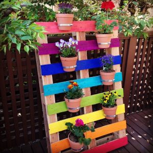 Rainbow Pallet Container Garden