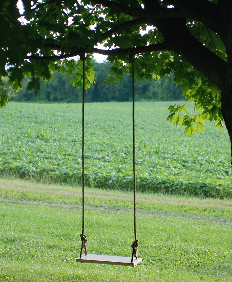 DIY Tree Swing for Your Backyard