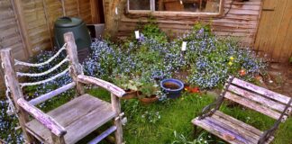 DIY Backyard Projects for the Summer