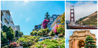 San Francisco Wine and Sightseeing Guide