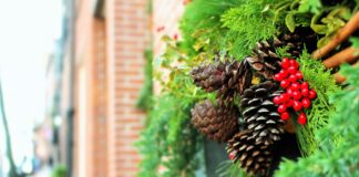 Christmas Outdoor Decorations