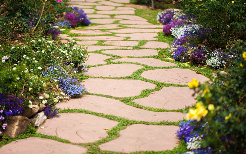 Flower Bed Pathway
