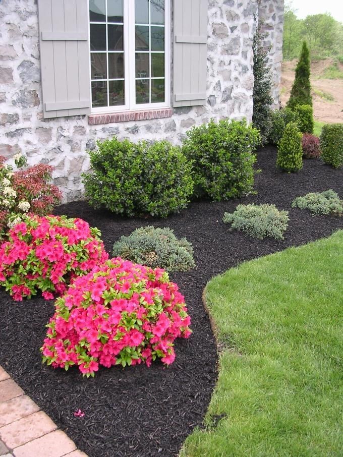 Blue Flower Bed Tire for Your Front Yard