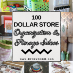 100 Dollar Store Organization and Storage Ideas