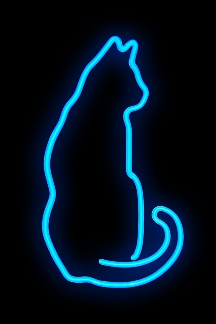60 Aesthetic Neon Wallpapers for iPhone [Free HD Download]