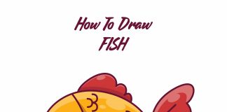 How to Draw Fish: Easy Step-by-Step Fish Drawing [With Video]