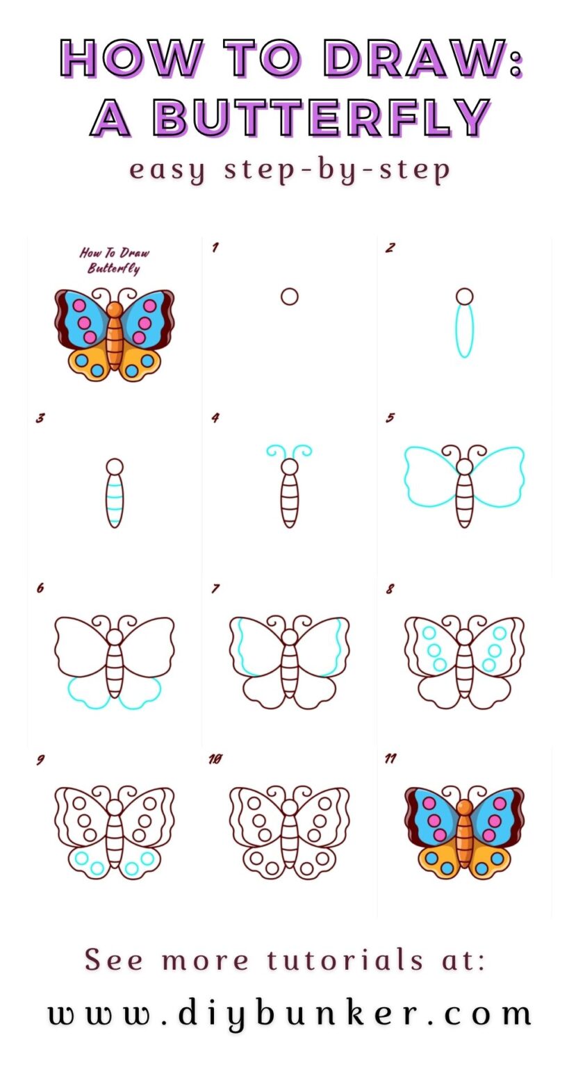 How to Draw a Butterfly: Step-by-Step Simple Butterfly Drawing [Video]