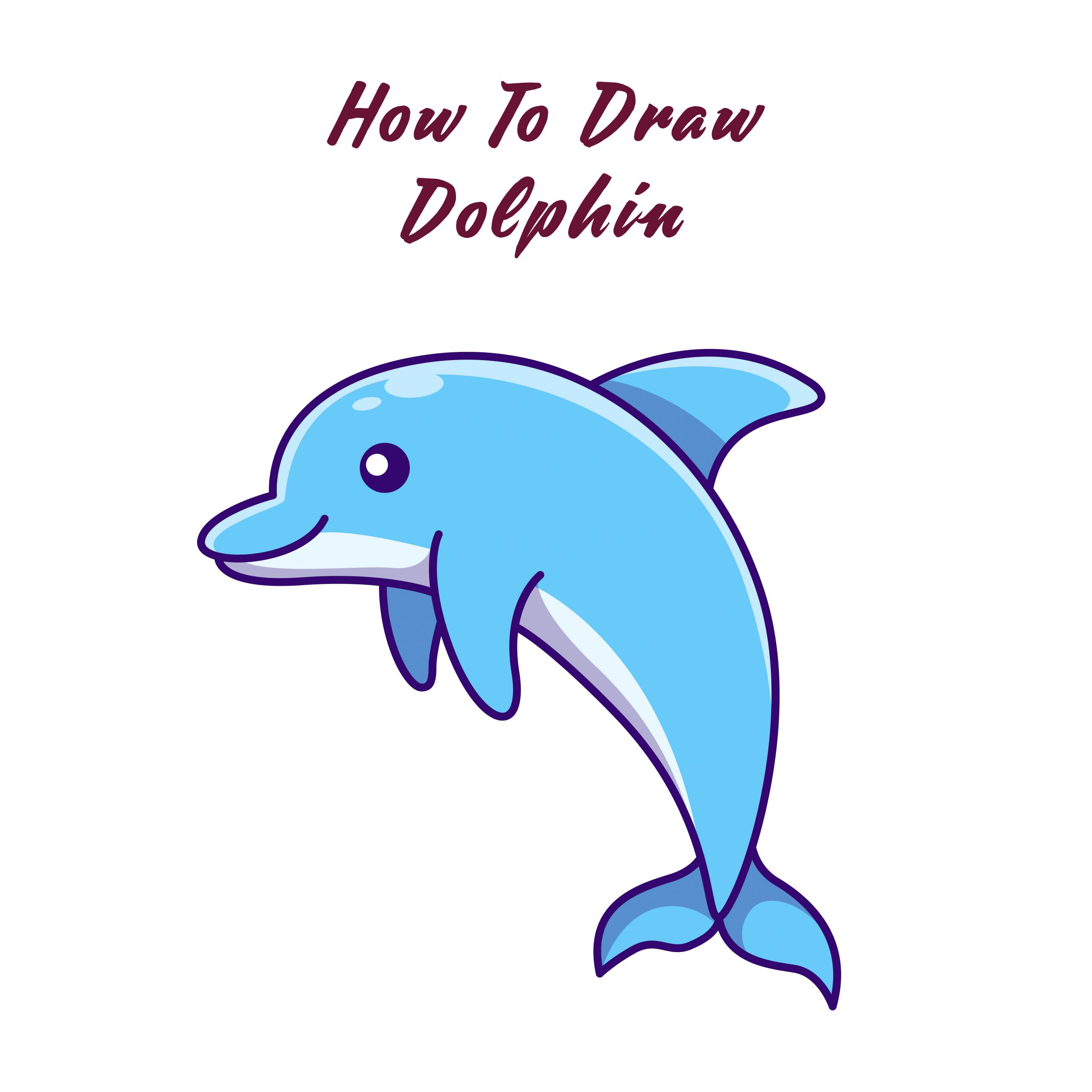 How to Draw A Dolphin Step by Step