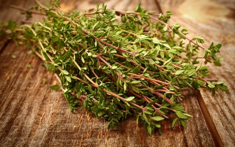 thyme substitute health benefits