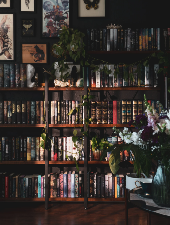 fantasy and romance home library