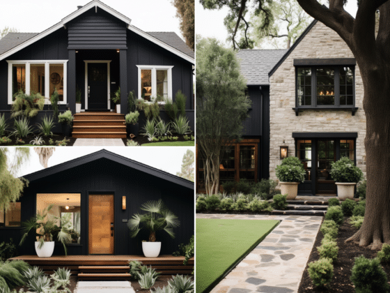 Elegant Black Home Exterior Ideas
