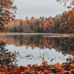 Fall Aesthetic (12)