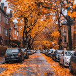 Fall Aesthetic (29)