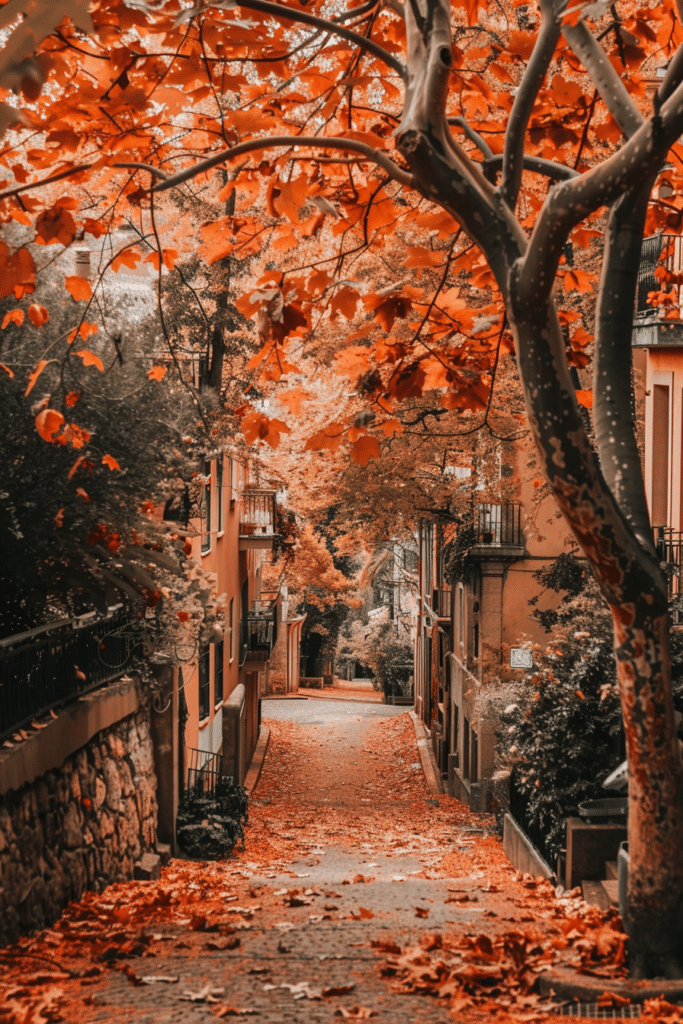 60+ Fall Aesthetic Scenes That Capture the Beauty of Autumn
