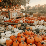 Fall Aesthetic (9)