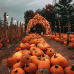 Halloween Aesthetic (53)