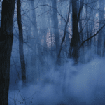 Halloween Aesthetic (80)