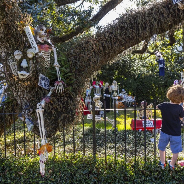 24 Silly Skeleton Front Yard Display Ideas for Halloween