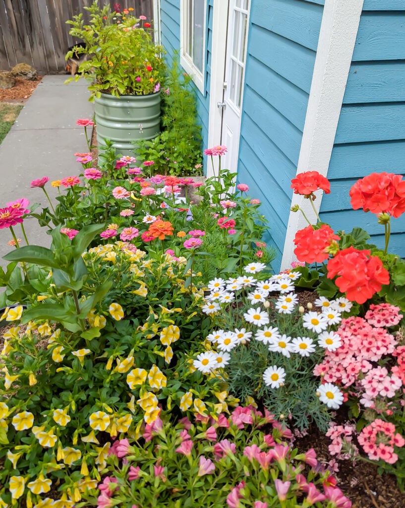 Vego Garden’s Raised and Elevated Beds, From Setup to Bloom