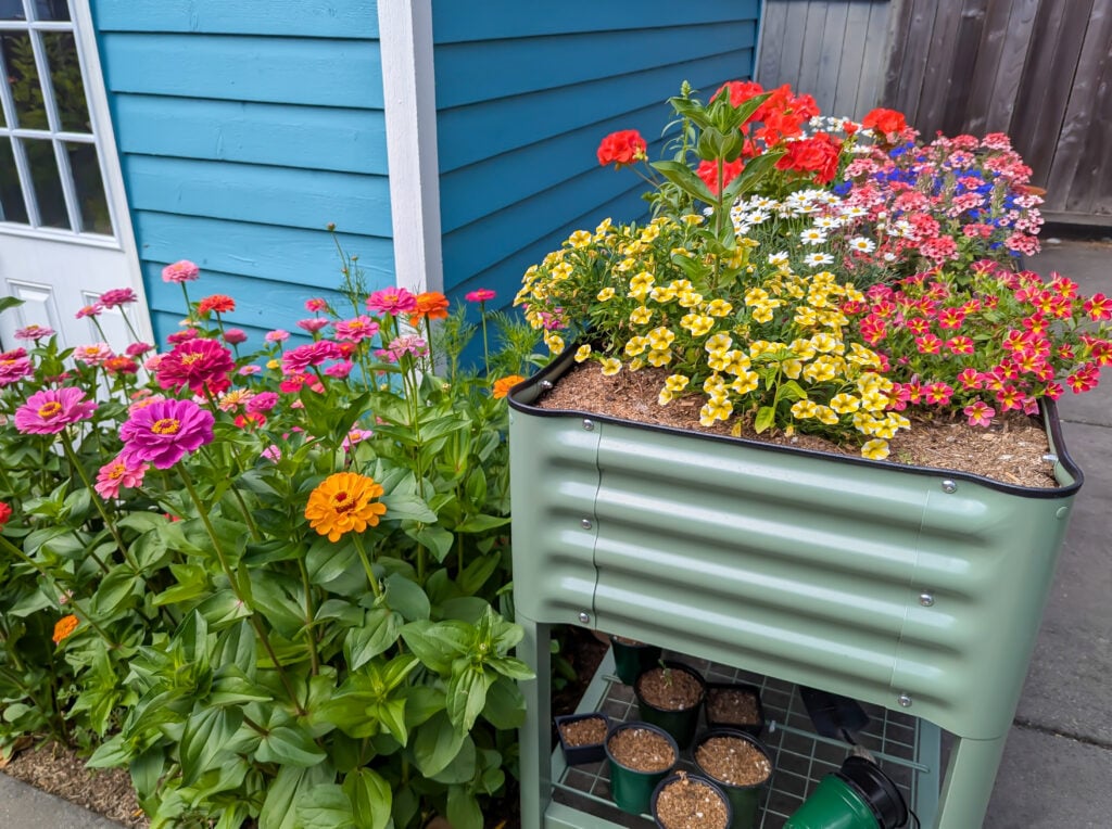 Vego Garden’s Raised and Elevated Beds, From Setup to Bloom