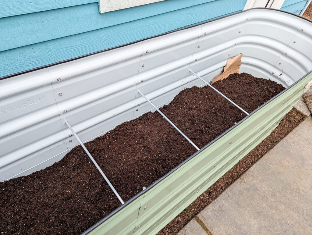 Vego Garden’s Raised and Elevated Beds, From Setup to Bloom