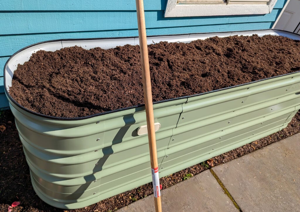 Vego Garden’s Raised and Elevated Beds, From Setup to Bloom