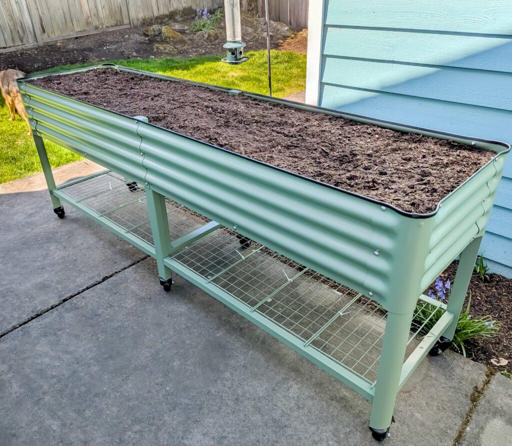 Vego Garden’s Raised and Elevated Beds, From Setup to Bloom