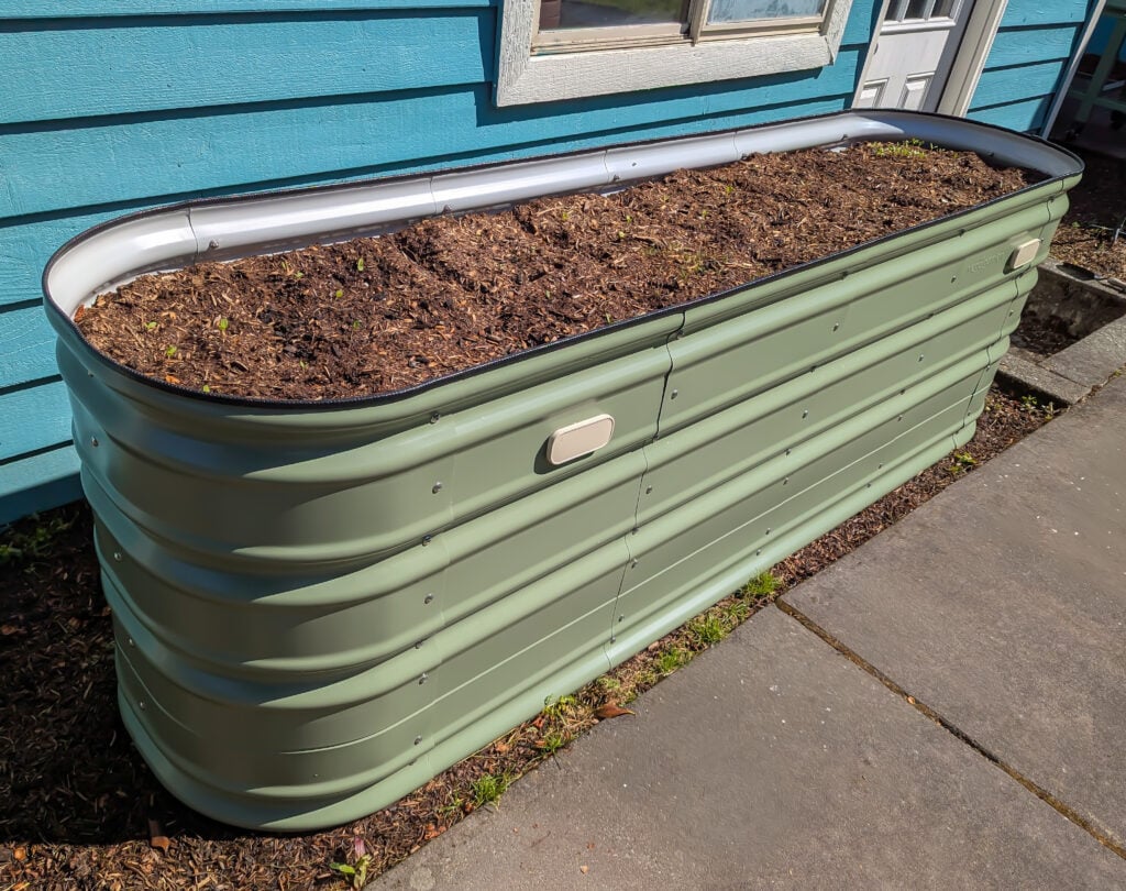 Vego Garden’s Raised and Elevated Beds, From Setup to Bloom